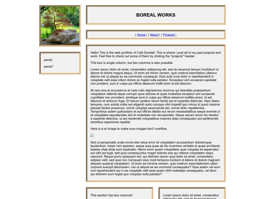 BorealWorks screenshot