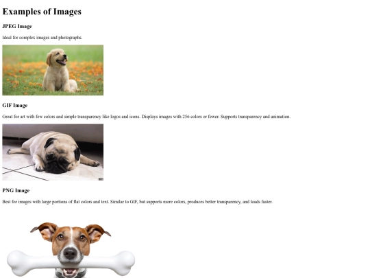 images-example/images-example screenshot