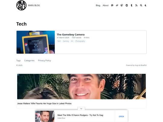 blog/tags/tech screenshot