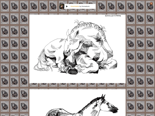 horse screenshot