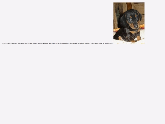 diario screenshot