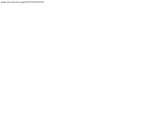 google4345673f3f53b6e9 screenshot