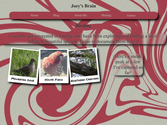 Birding screenshot