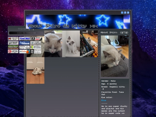 kitty screenshot