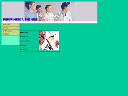 paginas/GALERIA screenshot