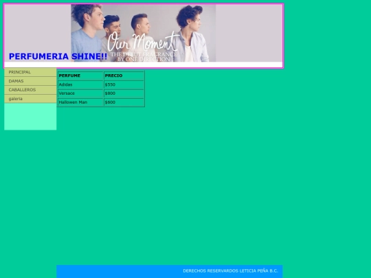 paginas/caballeros screenshot