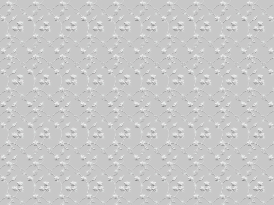 totog screenshot