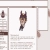 laurencelane.yorniq.xyz avatar