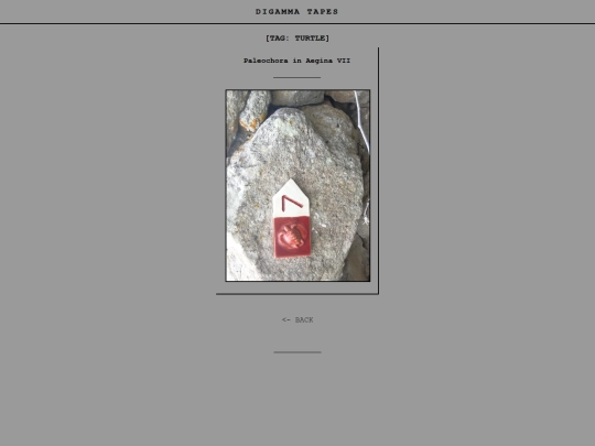 tag-turtle screenshot