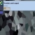dsac.yorniq.xyz avatar