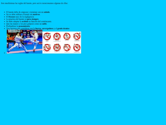 pages/reglas screenshot