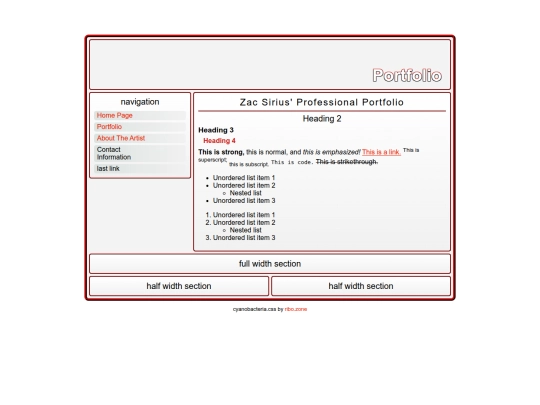 binarystarsirius-Portfolio screenshot