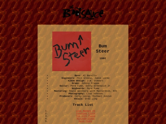 steer screenshot