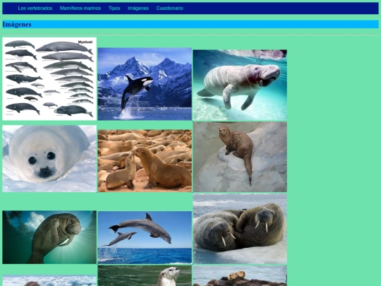 imagenes screenshot