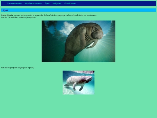 ordensirenia screenshot