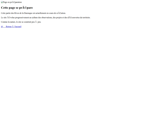 pages/page-attente screenshot