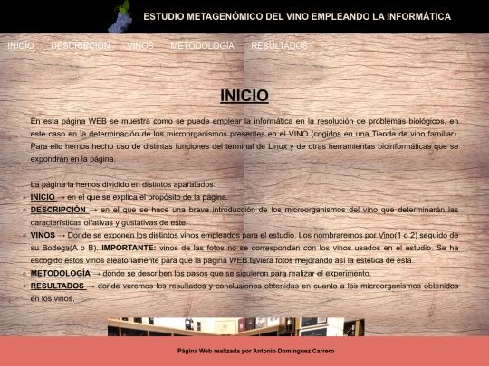InicioVINO screenshot