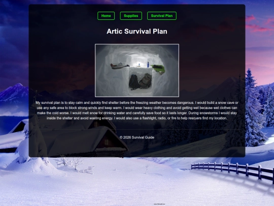 Class_of_2029/Project/Survival_website/plan screenshot