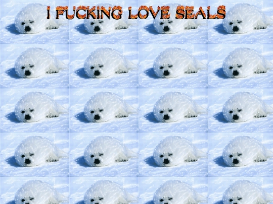 sealshrine screenshot