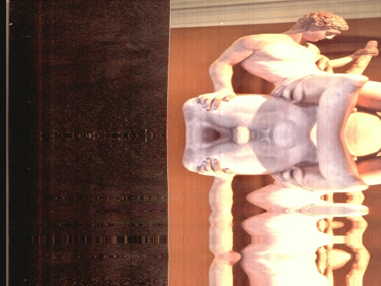 voice screenshot