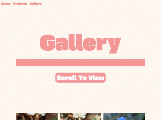 gallery screenshot