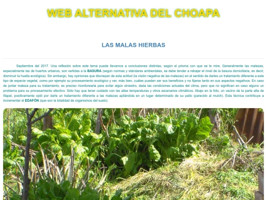 malezas-beneficios screenshot