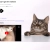 The web site of angiekkuma avatar