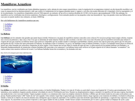 tp2 screenshot