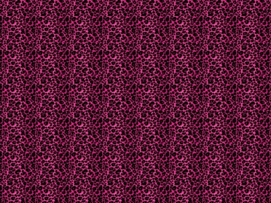 misc screenshot