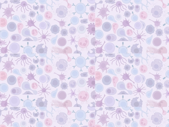 editions screenshot