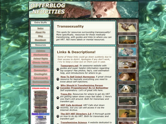 transsexuality screenshot