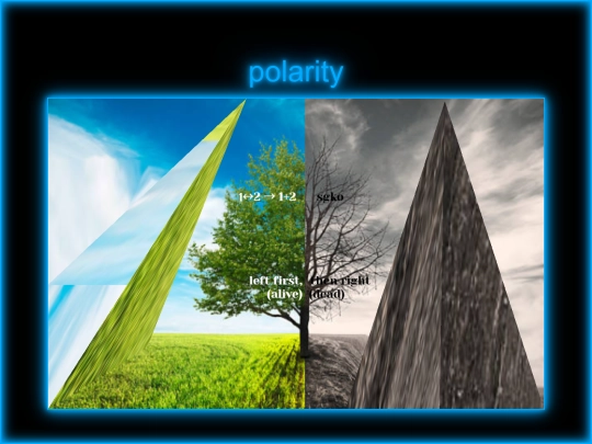 polarity screenshot