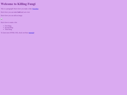 index screenshot