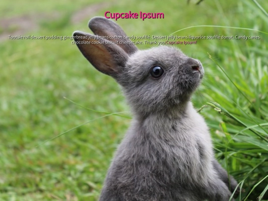 WEB-DESIGN/2-CSS/csspractice1 screenshot