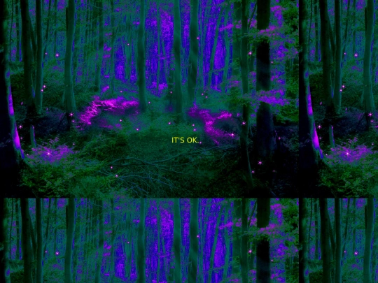 story/magic_trees_no screenshot