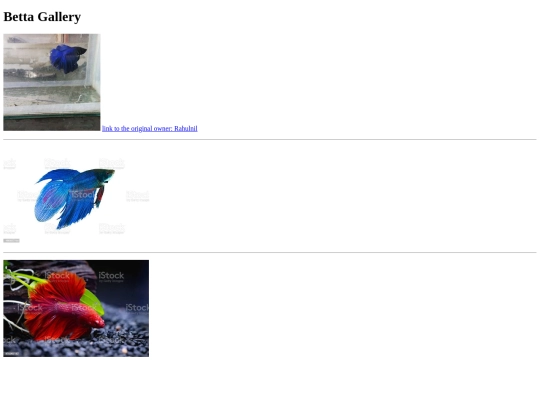 gallery screenshot