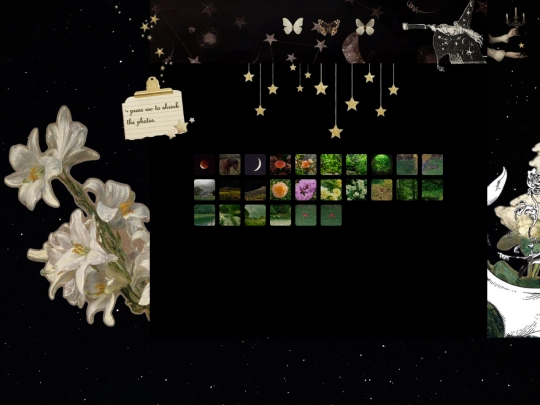 photography screenshot