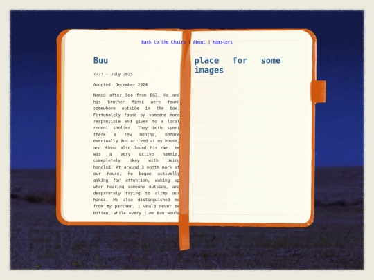 MiscNotebook/HamsterPages/Buu screenshot