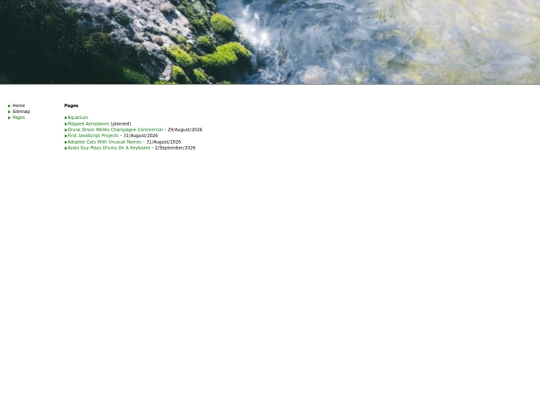 pages screenshot