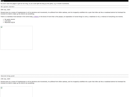 blog screenshot