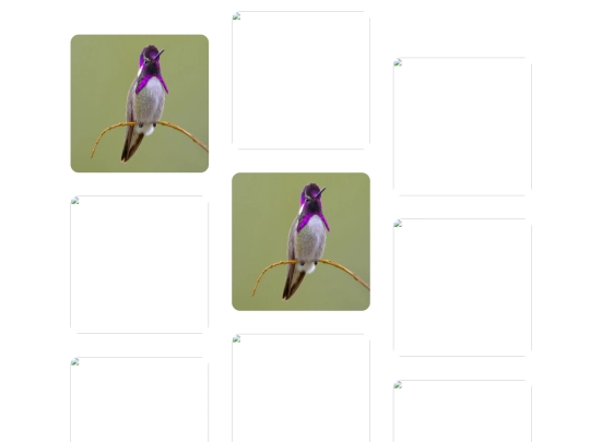 actividad_3_19/pinterest screenshot