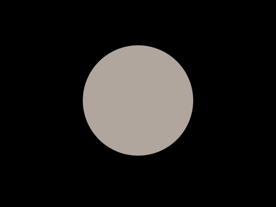 KoalasToTheMax screenshot