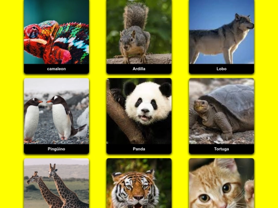flashcard/flashcard screenshot