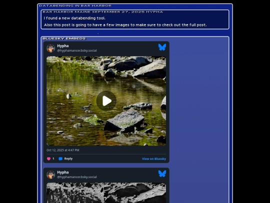 tag/bird screenshot