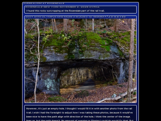 tag/new_york screenshot