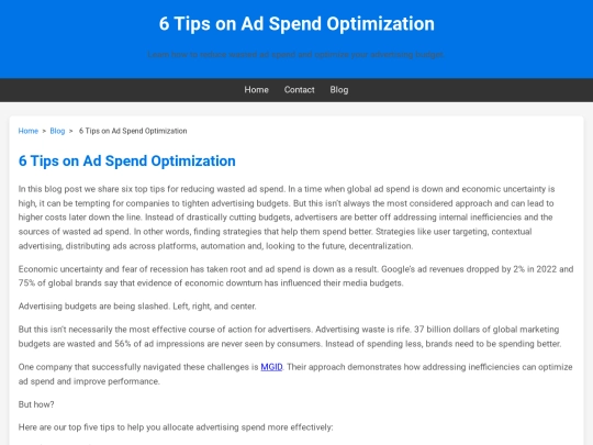 6-tips-on-ad-spend-optimization screenshot