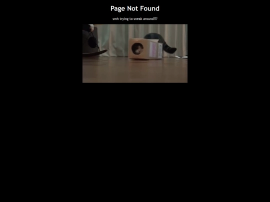 not_found screenshot