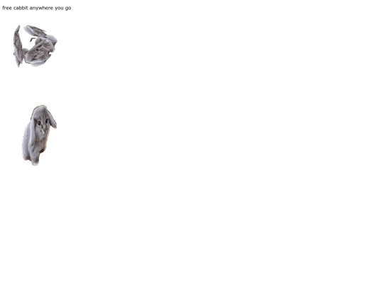 BFWI5/cabbit screenshot
