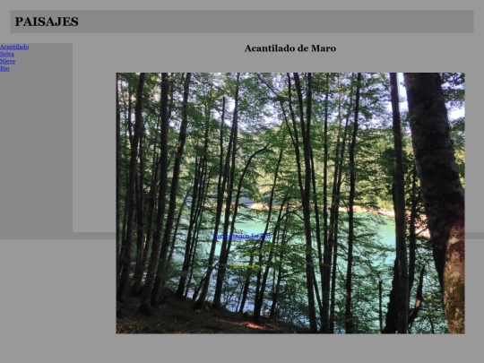 RESPONSIVE/selva screenshot