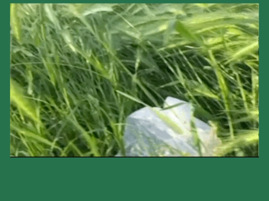 greenisthewarmestcolor screenshot
